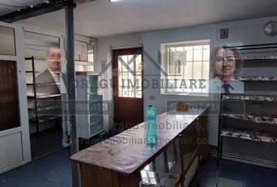 Spatiu comercial Cosmesti/Baltaret/ Apartament locuibil la etaj - 3