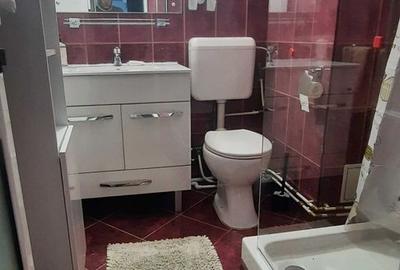 Apartament 4 camere Drumul Taberei - 9