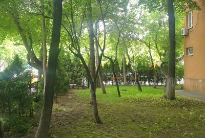 Brancoveanu - Luica, 3 camere, etaj 4, bloc reabilitat termic - 9