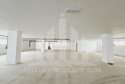 Apartament 2 camere | 57 mp | Etaj 1 | Garaj Subteran | Alba-Micesti - 6