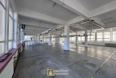 De Vânzare Hală Industrială – Lipova, Județul Arad - 17