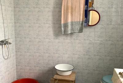 Casa individuala în Otelec - 3.313 mp teren - 2 fronturi stradale - 9