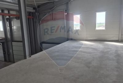 De inchiriat | Spațiu industrial Balotesti-Tunari-Aeroport Otopeni - 11