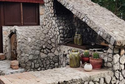 Vanzare 3 case moderne + 3 anexe si 2000 mp teren gradina, pomi in Tuzla la mare - 25