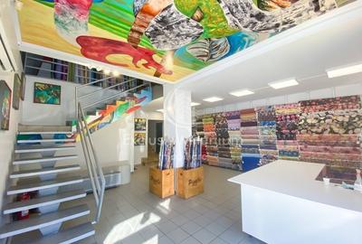 Spatiu Comercial/Cladire BirouriPache Protopopescu - 2