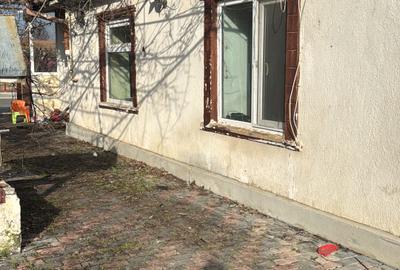 Cogealac - casa cu 3 camere, 1500 mp teren - 12