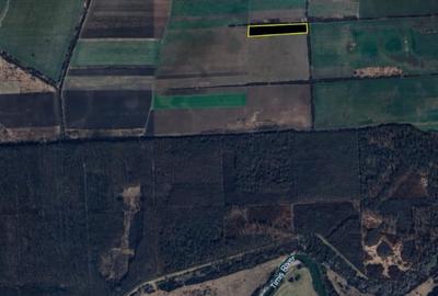 Teren 18.000 mp in Giroc - 3