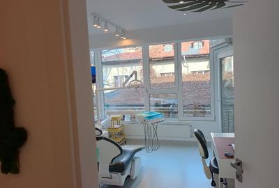 Proprietar vand doua vile in zona Calea Plevnei - 1