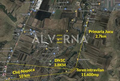 INVESTITIE! Teren constructii 11.600 mp | front 45.7m | Jucu de Sus - 2