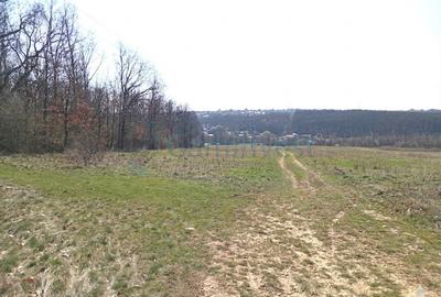 Teren Construcții intravilan de 3210 mp, în Paleu