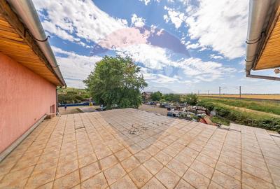 Spațiu industrial cu potential de vanzare in Paulis,Arad - 17