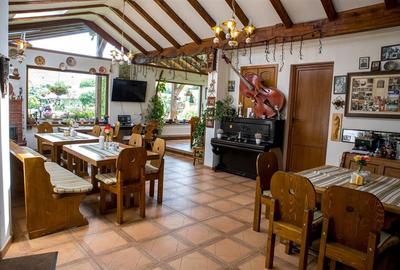 Hotel Bielmann,unicitate si profitabilitate optima in turism,Sanpetru, Brasov - 27