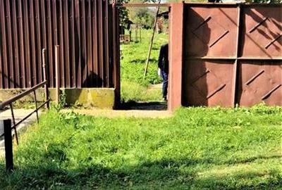 Teren Construcții intravilan de 9800 mp, în Buciumi