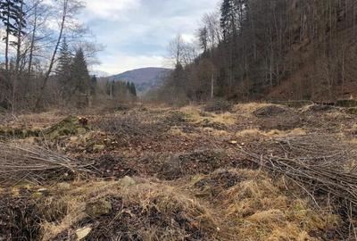 De vanzare teren intravilan AZUGA - 6