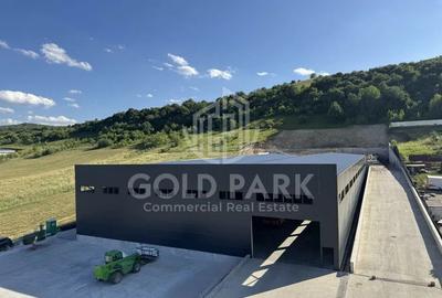 Spatiu Industrial - Baciu - 1300 mp - Plaftorma Betonata - Acces TIR - 3