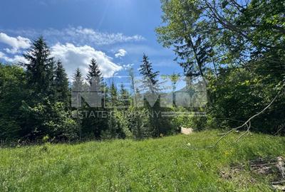 TEREN EXTRAVILAN DE VANZARE | CAMPULUNG MOLDOVENESC | 245.000€ - 6