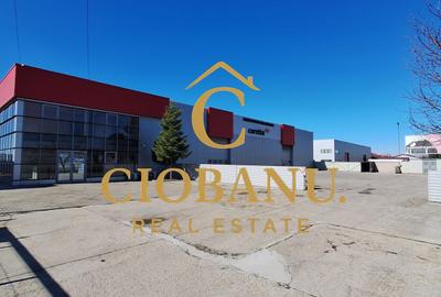 Hala de inchiriat zona Termo Isalnita - 1