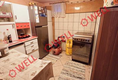 Casă familiară de vânzare în Bixad! - 14