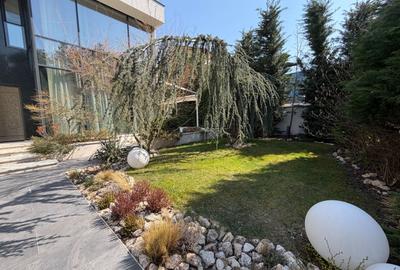 Vila impresionanta cu finisaje premium, langa padure - 1