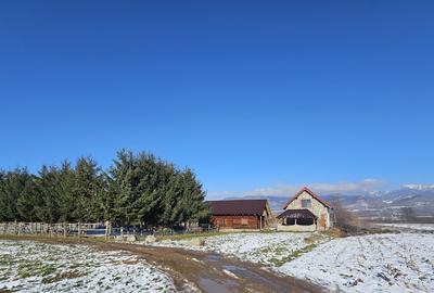 Casă individuală cu 6 camere în Brădet