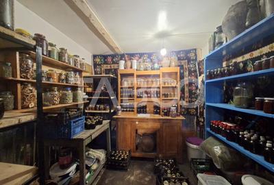 Spatiu de vanzare in Valea Macesului judel Valcea iesire la Lotru - 20