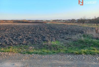 Teren extravilan industrial | 7.826 mp | 2 fronturi stradale | Ghiroda - 1