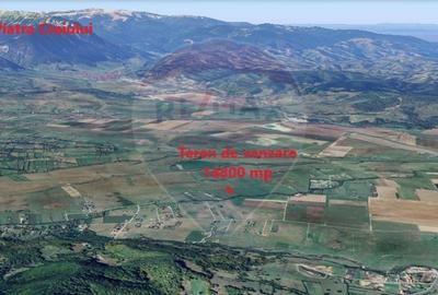 Teren Rasnov zona Glajerie-14800mp extravilan - 4