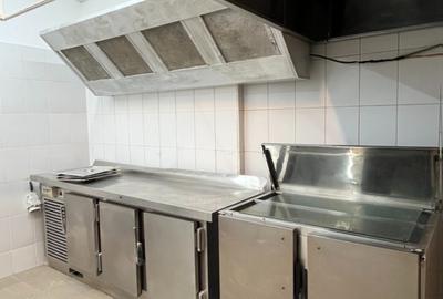 Vilă reprezentativă Pta Victoriei – HoReCa - Gradinita - Medical - Avocatura - 13