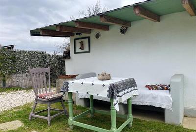 Casa de vanzare in Nufaru - 35