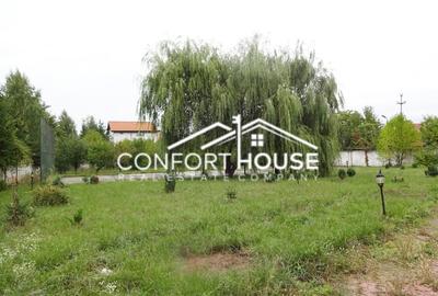 Proprietate impresionanta D+P+M, teren 4781MP, IANCU NICOLAE - 24