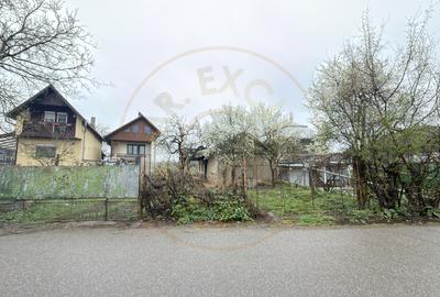 De vânzare 2 Case de vinificație cu Teren 4108 mp - Grădina Viilor - Carei - 11