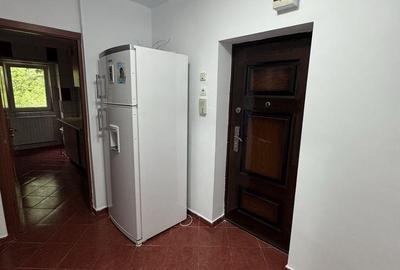 Aparatorii Patriei-Aleea Tomesti-Garsoniera-decomandata - 3