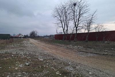 Teren intravilan 1450 mp – Carpiniș , Ideal pentru casă de locuit - 10