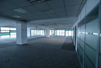 America House, Victoriei, 200 - 240 mp  0% comision! - 16