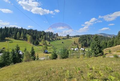 Casă / Vilă de vacanta in Dorna Arini, Suceava - 50
