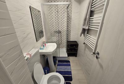 Inchiriere garsoniera Popesti Leordeni, 3min Metrou Dimitrie Leonida - 11