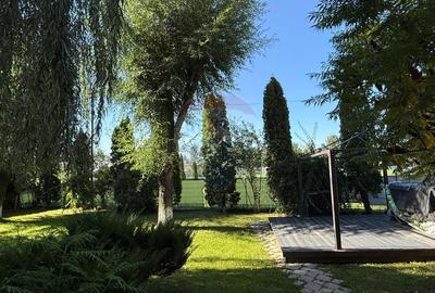 Cladire cu teren de inchiriat Bacau Calea Romanului - 7