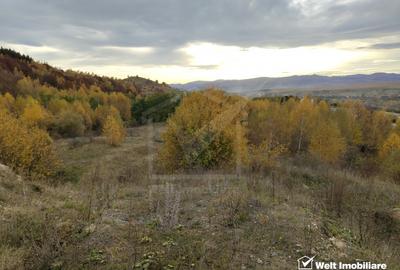 Teren intravilan – Salicea, 971 mp - 2