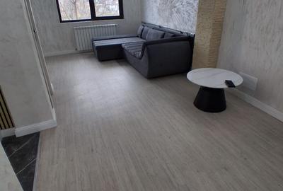 Vila 3  camere vededere lac  iezareni id.oferta160912 - 6