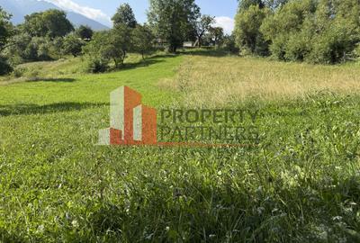 Teren Sohodol 5000 mp - 4