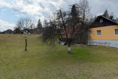 Teren intravilan, Bran, 1020 MP, acces din E574 - 5