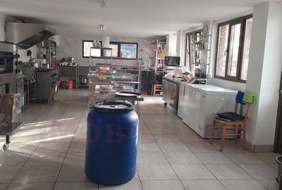 RESTAURANT DE VÂNZARE-COM. OBREJA\SAT IAZ\CARAȘ SEVERIN - 21