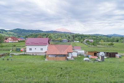 Casa de vacanta + Teren intravilan Acris | Vama Buzaului | 2551 mp - 20