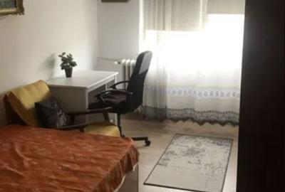 2 Camere Teiul Doamnei Ion Berindei - 2