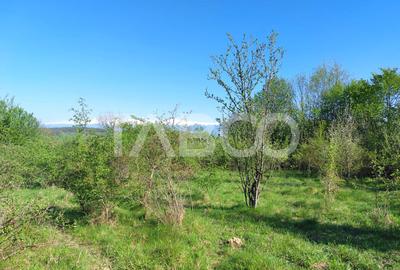 Teren intravilan 4280 mp acces la drum si utilitati zona deosebita - 6