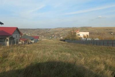 Teren 6100 mp Popricani, Iași - 1