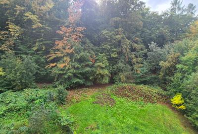 Apartament 2 camere in Racadau - 12