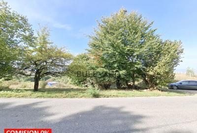 Comision 0. Teren cu autorizatie de construire in Salicea - 8