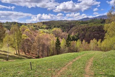 Teren de poveste, intru-un sat de poveste Pestera/Moeciu/Brasov - 8
