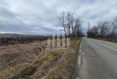 Teren extravilan | De vanzare | 1300 mp | 25 ml deschidere | Ciugud - 2